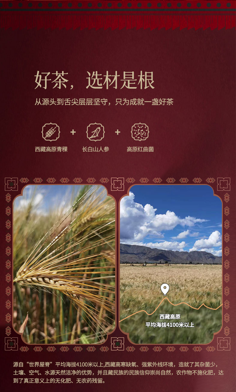 红曲人参茶详情_03.jpg