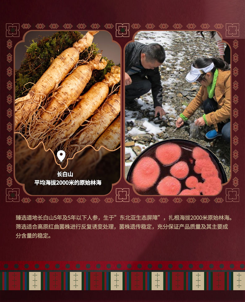 红曲人参茶详情_04.jpg