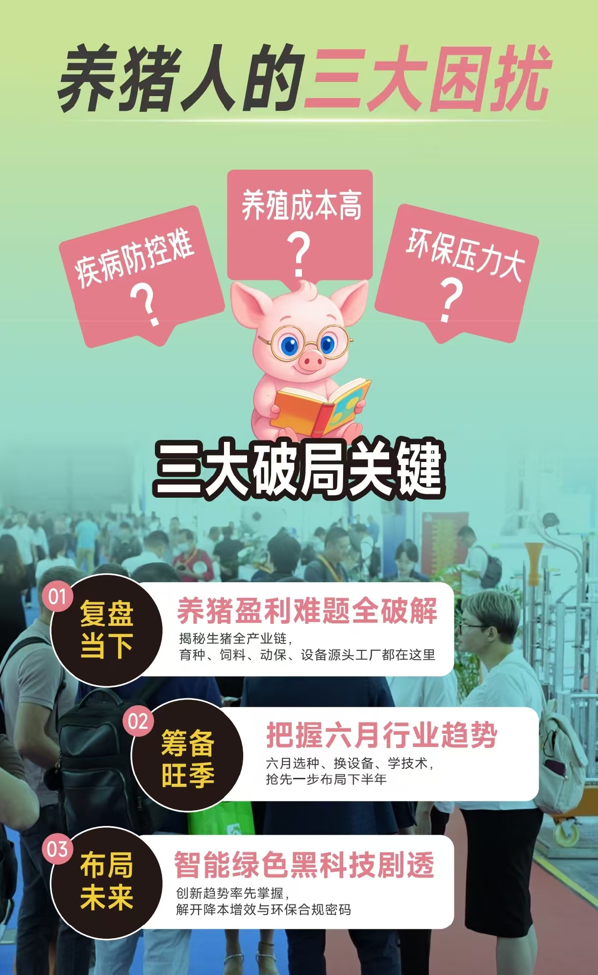 26金诺猪博会海报2.jpg